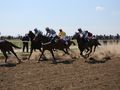 Сандрово кани на голям турнир любителите на конния спорт
