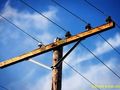 Кражба на кабел остави без ток Източна промишлена зона