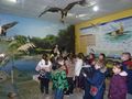 Над 200 деца три дни учиха „Русезнание“ в музея