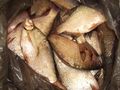 Хванаха русенски бракониер да продава риба край Свищов