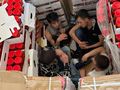Румънец опитал да прекара група сирийци в камион за гълъби