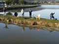 Волтова дъга погуби рибар от Русе край Костанденец