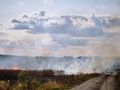 Пожар погълна 360 декара гора и пчелин край Ветово