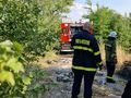 Пожар между вилна зона и „Дунарит“ стана първото изпитание за новия шеф на пожарната