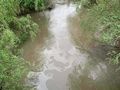 Проверяват автосервизите около Сарайския мост за петролен филм във водите на Русенски Лом