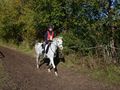 БТБ с призови места в тежко изпитание за ездачи и коне
