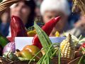 Румънски и български производители на плодове и зеленчуци се обединяват