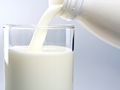 530 милиона литра мляко преработваме за година