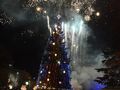 Фойерверки „подпалиха“  русенската Коледна елха