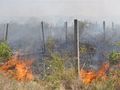 Собственици на имоти в Красен 2 пъти за ден запалиха сухи треви
