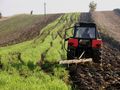Община Борово получава най-много агросубсидии