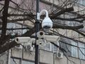 84 камери пазят центъра на Русе от хулигани