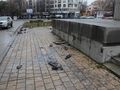 20-годишна се блъсна в паметника на Стефан Караджа в полунощ