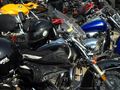 Мотоклуб „Тъндърс“ прави  почетна обиколка за 3 март