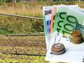 Фонд „Земеделие“ призова стопаните да декларират субсидиите пред данъчните