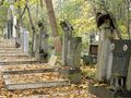 Грижите за гроб на роднина - само срещу удостоверение за наследници