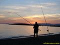 Пълна забрана за стопански риболов в 23 участъка по Дунав