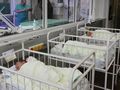 Прогноза: Днешните русенски бебета ще живеят по-малко от средното за страната
