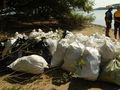 35 чувала боклуци събраха доброволци от остров Алеко и сливополския бряг