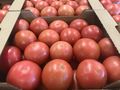 Градинарите залагат на розовите  сортове в борбата с вносните домати