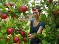 Холандското посолство организира  семинар за фермери в Русе