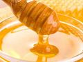 Питка с мед събра пчеларите в Иваново