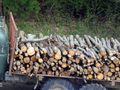 Частни лесовъди тестват електронните  билети за превоз на дървесина