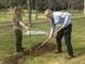 Засаждането на 30 дръвчета в Борово върна Бурджиев в детството
