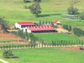 Завишават субсидиите за  ферми с до 300 декара земя