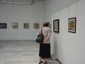 Унгарска художничка нарисува Рилския манастир в „парцалена картина“