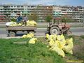 Над 233 тона боклуци извозени до сметището в деня на голямото чистене