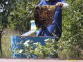 Русенските пчелари подават в Разград заявления за плащане