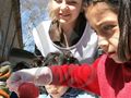 „В очакване на Великден“ събира децата на весел празник в парка