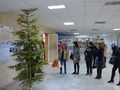 „Чучулига“ дари жива елха и украса на болницата