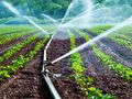 Индустрията и фермерите  използват все повече вода