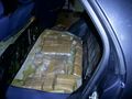 Четириногият митничар Роко спря трафик на хероин за над 2 милиона