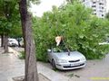 Вятър със 122 км/ч прекърши дървета и рани момиче в Русе