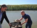 Нови 6500 шаранчета плуват в езерото на Текето