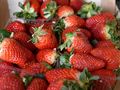 Слаба реколта от  ягоди в Русенско