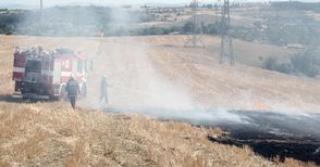 50 дка жито спасени от огън в Новград