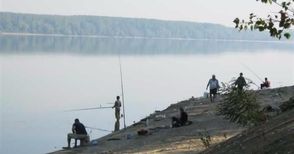 Бракониери избиват с ток рибата в Дунав