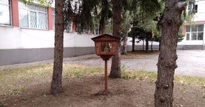 Къщички за книги се появиха  и в дворовете на училища