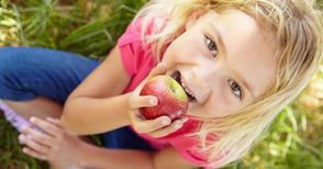 438 фирми доставят плодове, зеленчуци и мляко в училища и детски градини