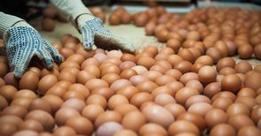 Птицевъди вещаят цена на яйцата над 30 стотинки