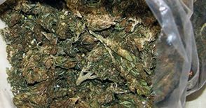 600 грама мирихуана открити при внезапна проверка в дома на дилър