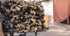 2.5 кубика незаконно изсечени дърва хванати в четири каруци във Ветово