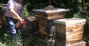 Фонд „Земеделие“ преведе над 8 милиона лева за биологично растениевъдство и пчеларство