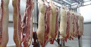Рязкото поевтиняване на свинското месо не се отрази в магазините