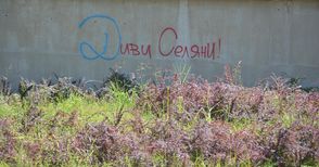 Графити майстор опитва да заличи простотиите в подлеза на Кръговото