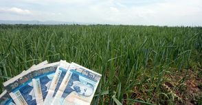 50 хиляди земеделци „забравили“ да  декларират 120 милиона лева субсидии